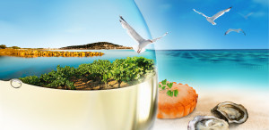 Le label vignobles et decouvertes
