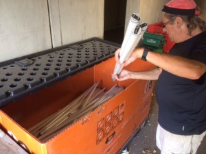 Collecte des ampoules