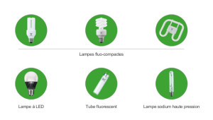 Lampes fluo