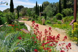 Vue Jardin Antique Méditerranéen de Balaruc