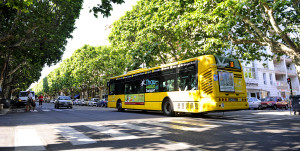 Bus de Thau agglo sur les routes du territoire