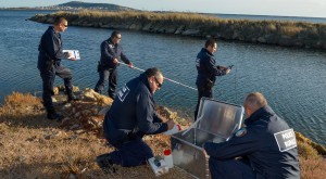 France, Hérault (34), Mèze, zone de la Conca, brigade territoriale de police rurale