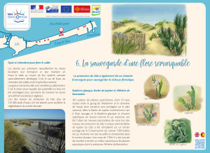 Lido La sauvegarde d'une flore remarquable