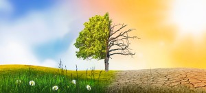 Changement climatique