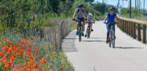Vélo en famille