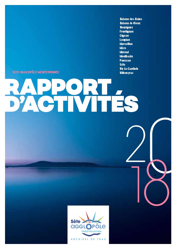 Rapport activités 2018 SAM