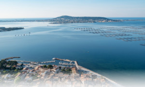 Une du Rapport_Conseil Développement 2019