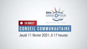 Conseil communautaire du 11 février 2021 SUIVEZ LE DIRECT
