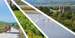 Page de garde du Rapport 2020 Développement Durable
