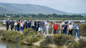 Frontignan, visite inaugurale du projet de valorisation des Salins de Frontignan