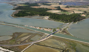 Bois des Aresquiers_vue aérienne